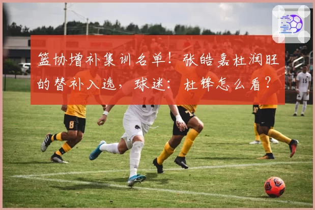 篮协增补集训名单!张皓嘉杜润旺的替补入选,球迷:杜锋怎么看?