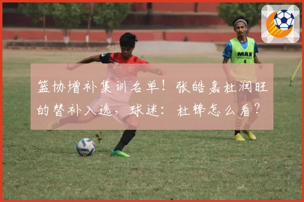 篮协增补集训名单!张皓嘉杜润旺的替补入选,球迷:杜锋怎么看?