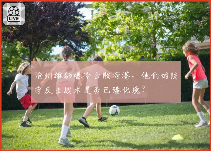 沧州雄狮爆冷击败海港,他们的防守反击战术是否已臻化境?