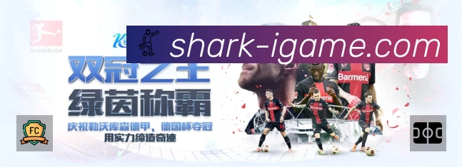 爱游戏平台展示图