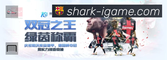 荣誉图K3